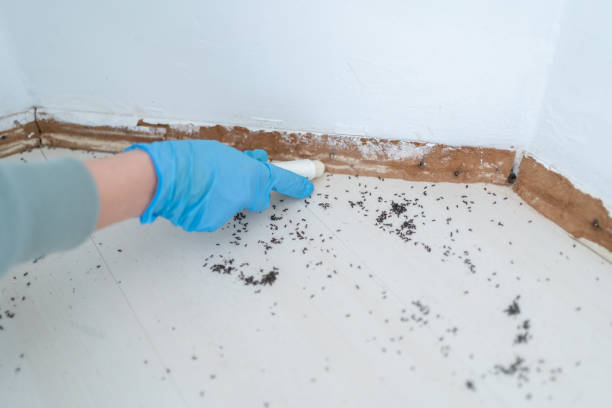 Best Commercial Pest Control Services  in Anadarko, OK